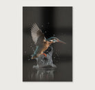 Ijsvogel 3 · Canvas-Poster staand-House of Posters-House of Posters