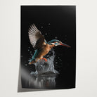 Ijsvogel 3 · Papier-Poster staand-House of Posters-House of Posters