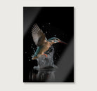 Ijsvogel 3 · Plexiglas-Poster staand-House of Posters-House of Posters