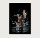 Ijsvogel 4 · Artframe-Poster staand-House of Posters-House of Posters