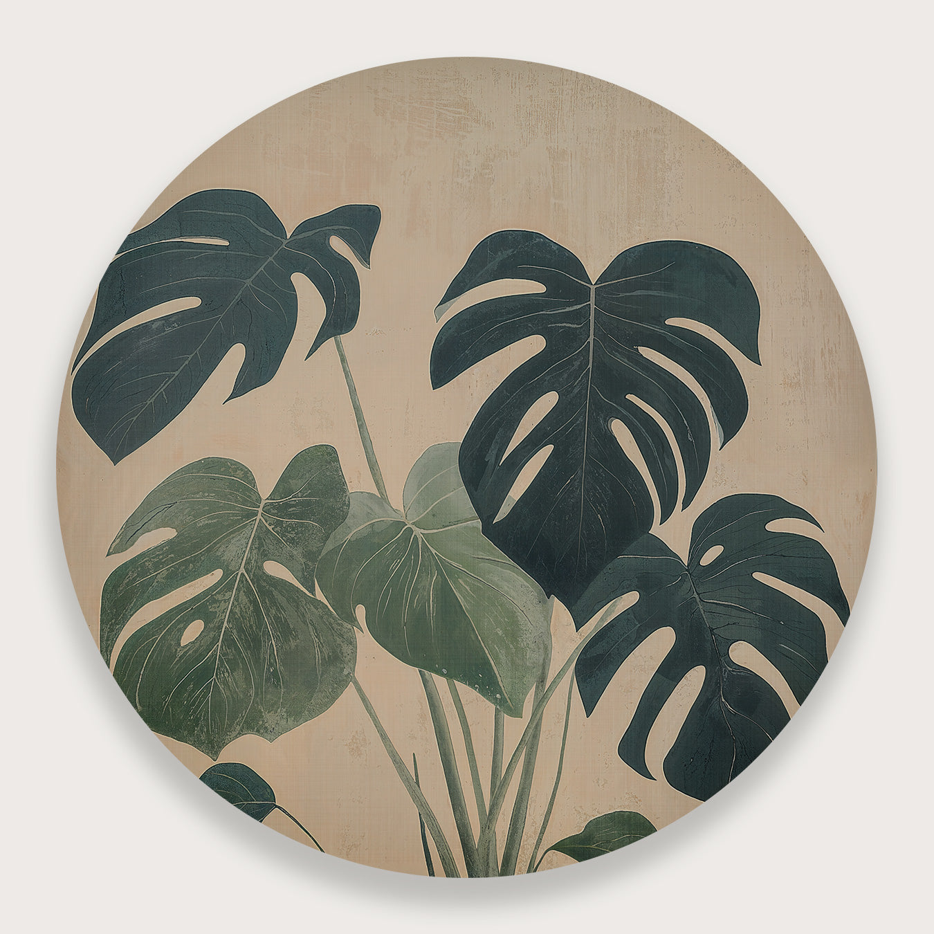 Aluminium muurcirkel Monstera: monstera met groene bladeren in een blauw-witte sierpot.