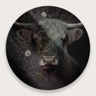 Schotse hooglander · Plexiglas-Muurcirkel-House of Posters-House of Posters