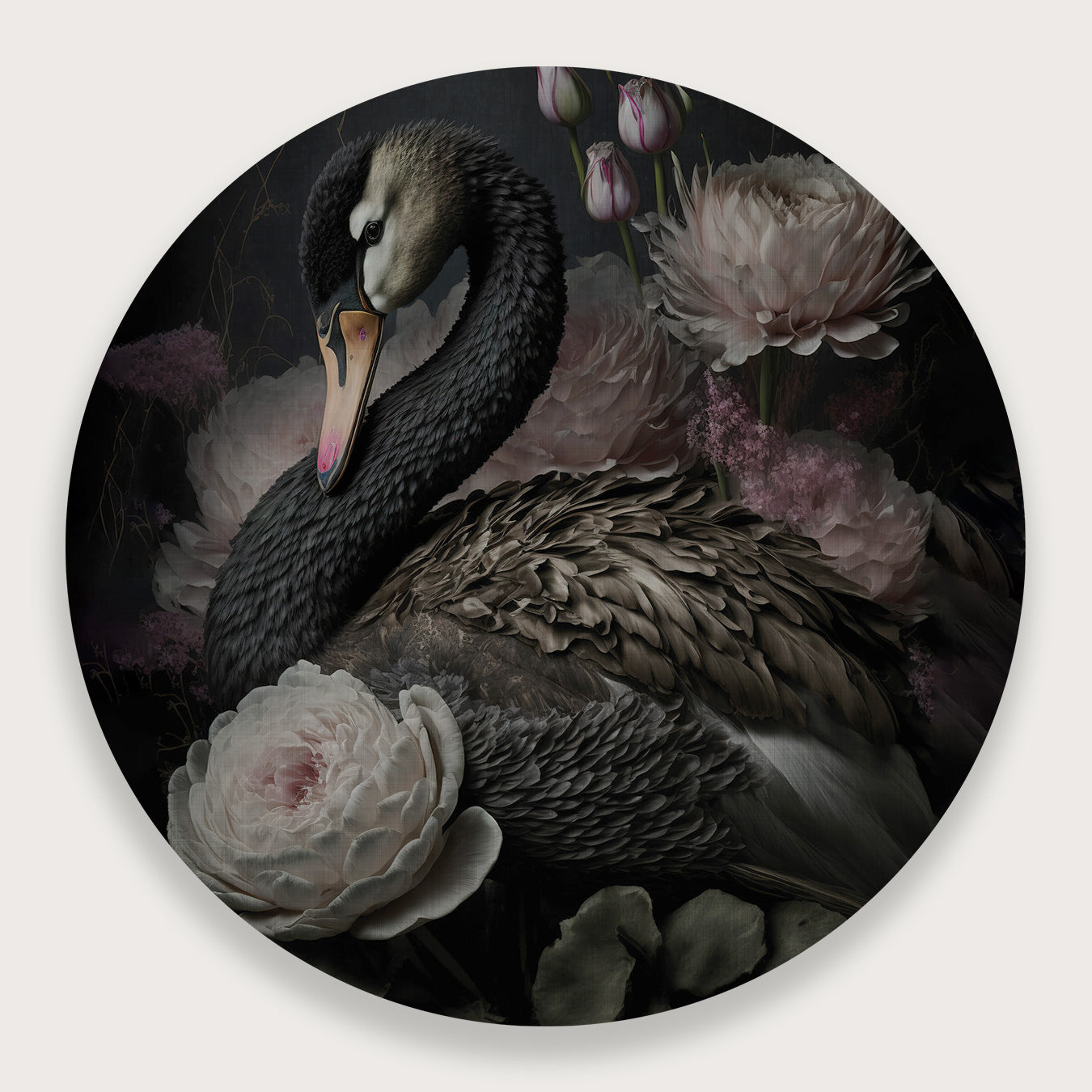 Zwarte zwaan · Muurcirkel-Muurcirkel-House of Posters-House of Posters